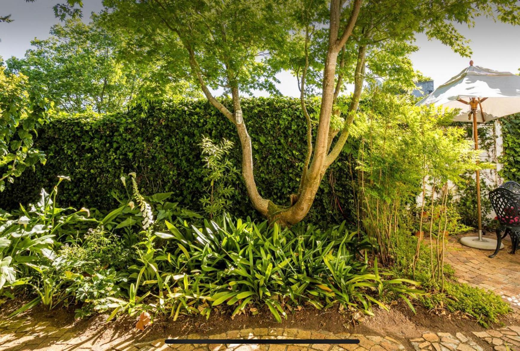 Guest Suite - Leafy Constantia Guest House Cape Town Ngoại thất bức ảnh